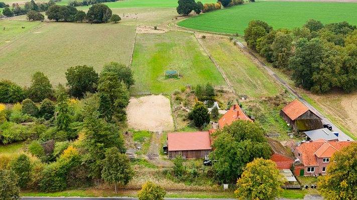 Übersicht mit Weide