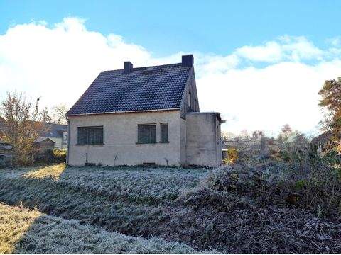 Gröbzig Häuser, Gröbzig Haus kaufen