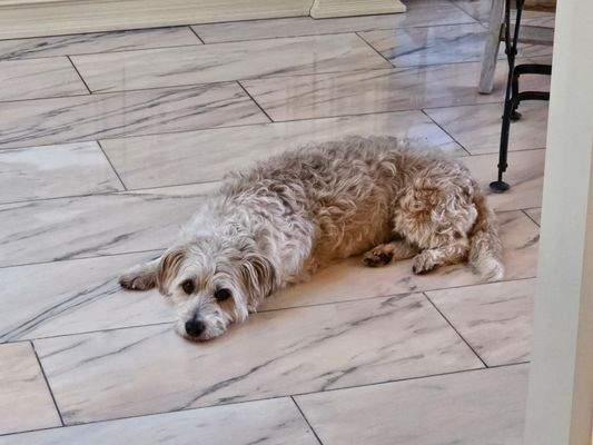 129 - unsere Beste.jpg