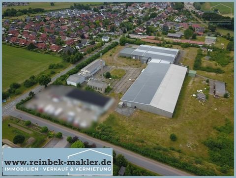 Plate Halle, Plate Hallenfläche