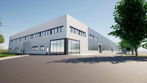 Aalen Halle, Aalen Hallenfläche