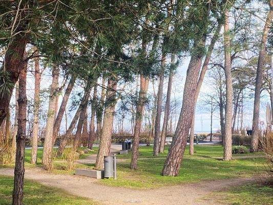 Blick in die Parkanlagen