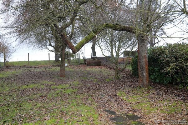 Gartenansicht hinten