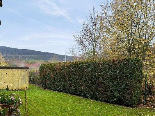 Blick vom Balkon links