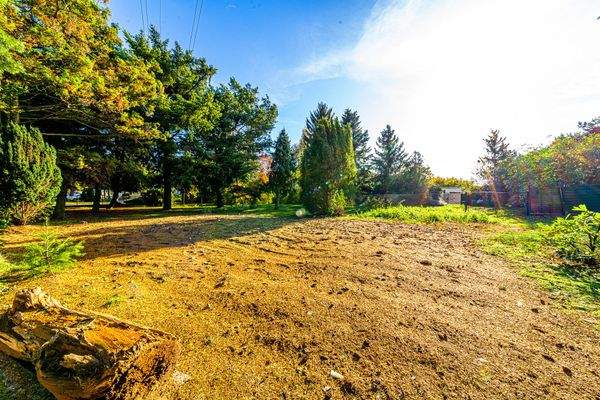 Platz für Ihr Traumhaus!