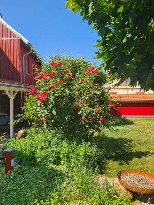 Blick auf Grünfläche