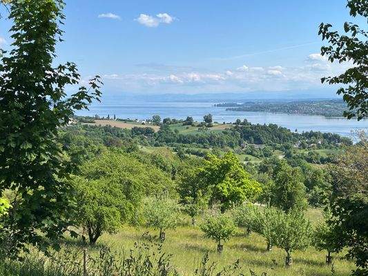 Aussicht Hödinger Höhe jpeg.jpg