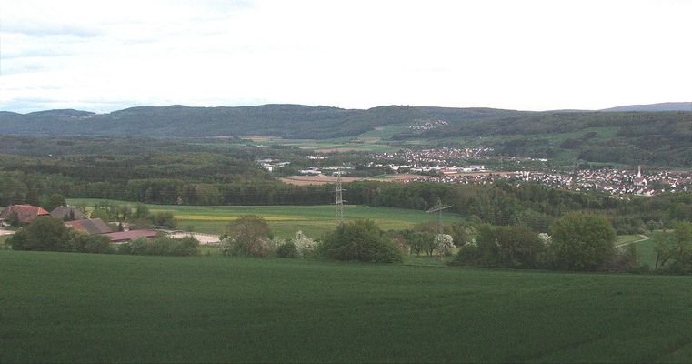 Blick aus Umgebung auf Lauchringen und Alpensicht