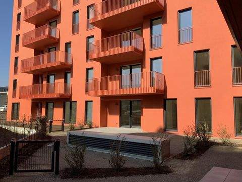 Bonn Wohnungen, Bonn Wohnung mieten