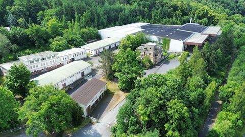 Müglitztal Halle, Müglitztal Hallenfläche