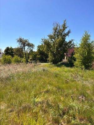 Blick vom Grundstücksende Richtung Haus