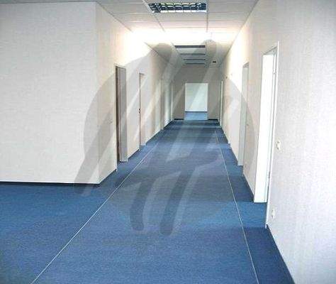 INFOS UNTER: 06171-586000