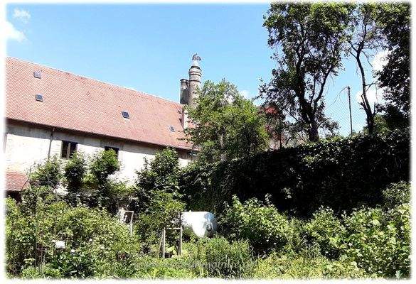 Blick vom Garten zum Gebäude