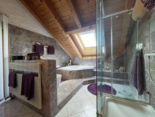 DG: Tageslicht-Badezimmer