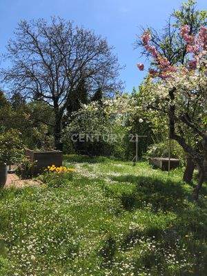 Garten-2