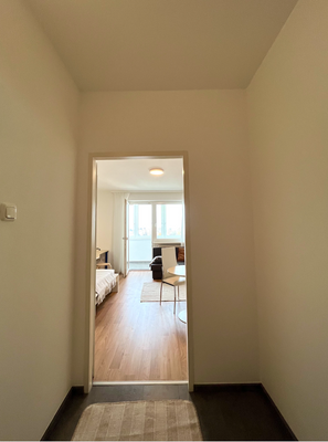 Eingangsbereich/Flur