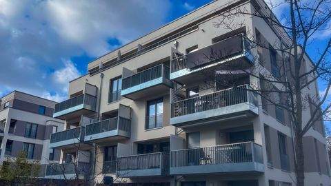 Dresden Wohnungen, Dresden Wohnung mieten