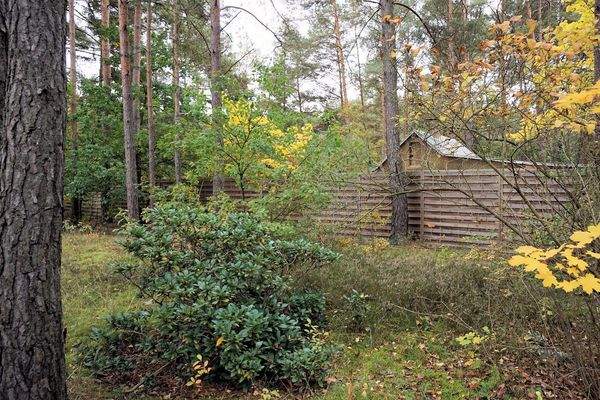 Zaun linke Seite (1).jpg