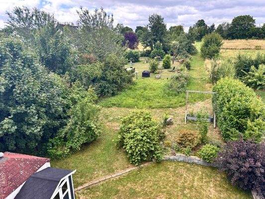 Blick in den Garten