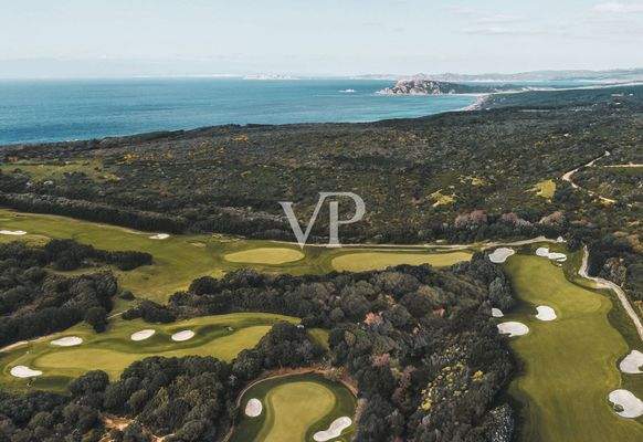 Vista aerea del progetto campo da golf