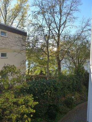 Blick zum Rhein aus Küche