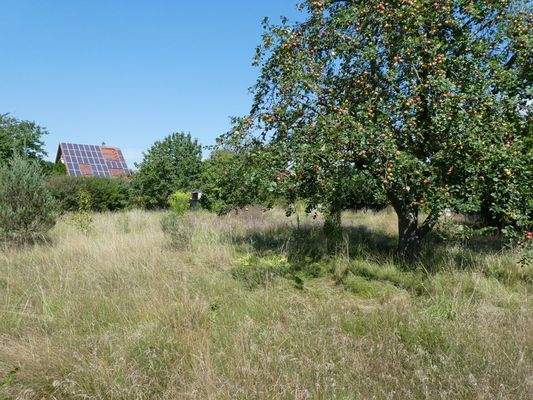 Weitere Grundstücksansicht