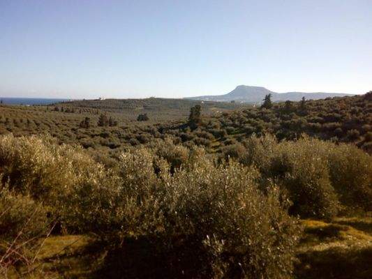Kreta, Kalyves: Land mit großartigem Meerblick in Apokoronas zum Verkauf
