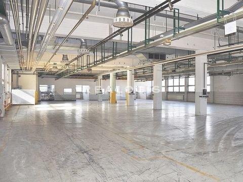 Wendelstein Halle, Wendelstein Hallenfläche