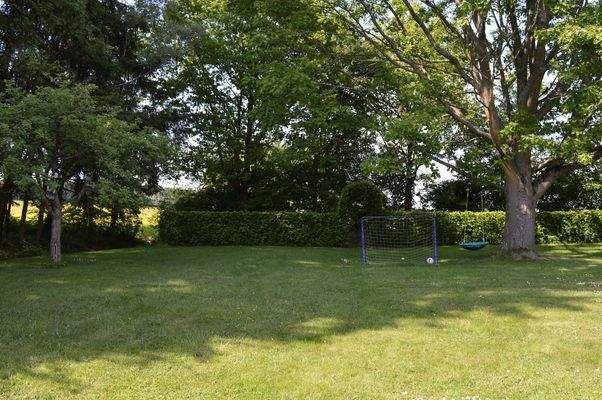 Grünfläche mit Baumbestand.JPG