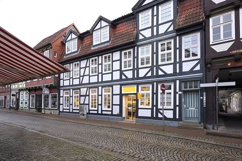 Celle Ladenlokale, Ladenflächen 