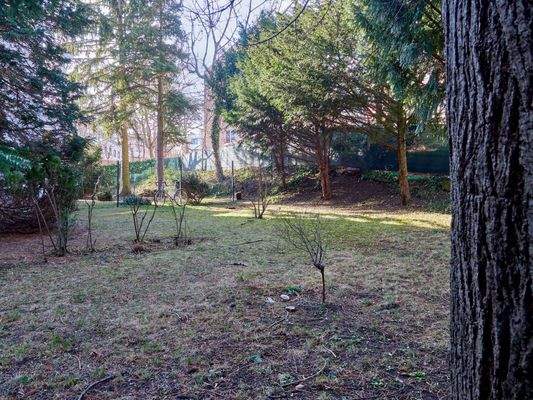 42_Ghelengasse 30 Neu