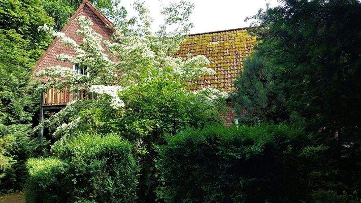 Wohnungseing. unter dem Balkon