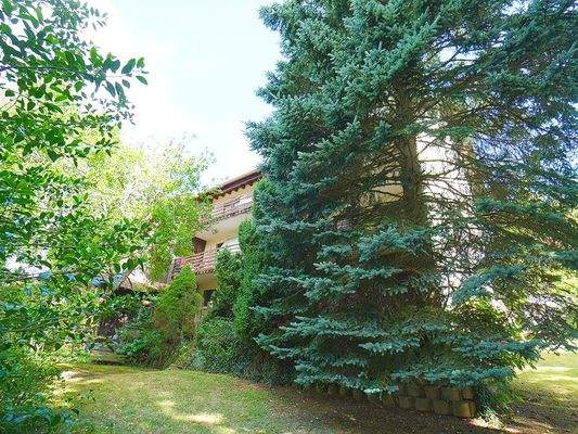 Tolles Grundstück mit Baumbestand