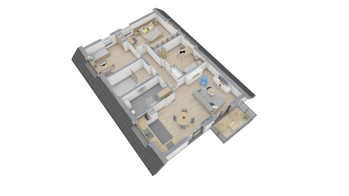DG 3D