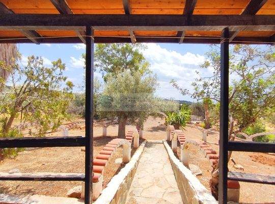 img_e213b5bb-fb94-4dd9-9504-fbe7ed81d8e7