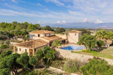 Llubi Häuser, Llubi Haus kaufen