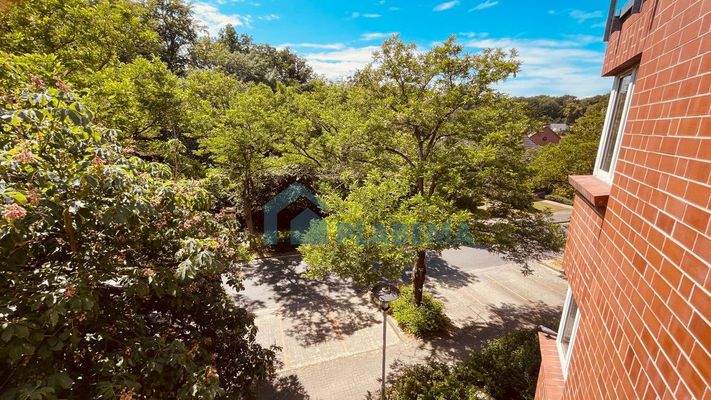 Blick vom Balkon ins Grüne