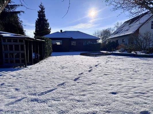 Blick aus dem Garten