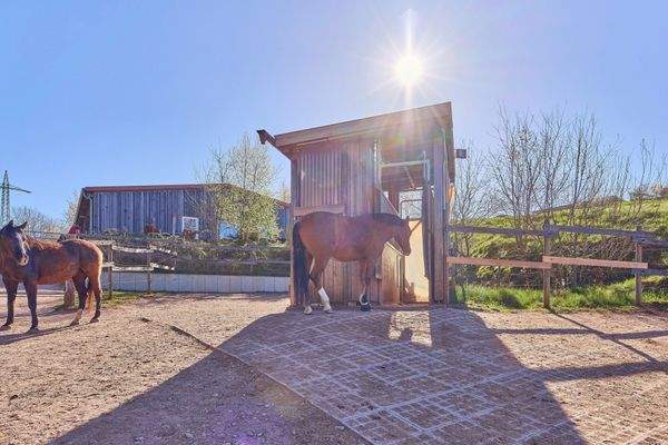 07 Kraftfutterstation.jpg