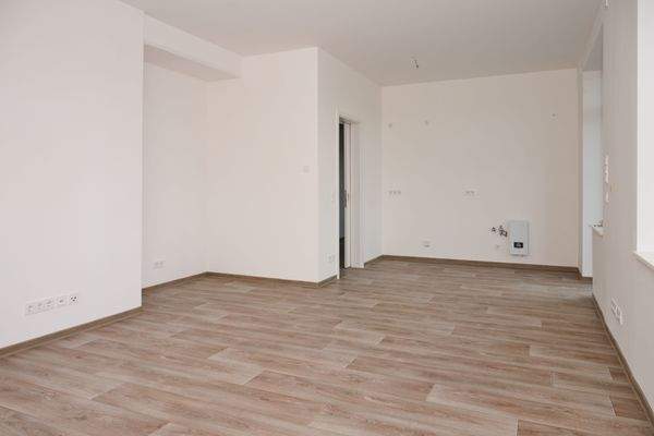 Wohnzimmer mit Kochbereich