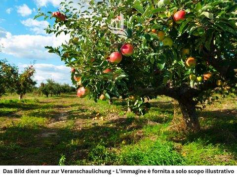 Andrian Grundstücke, Andrian Grundstück kaufen