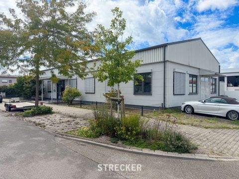 Rheinstetten Halle, Rheinstetten Hallenfläche