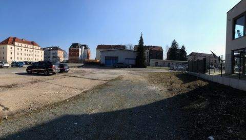 Zwickau Halle, Zwickau Hallenfläche