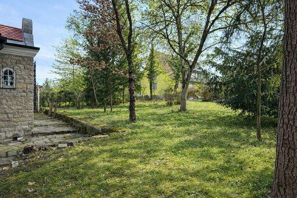 Gartenansicht mit Bäumen