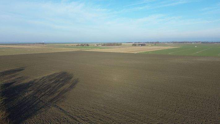 Unmittelbare Umgebung 