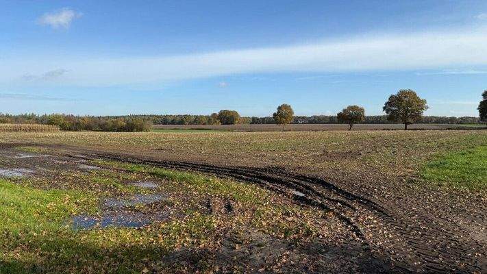 Ackerfläche hinter dem Haus