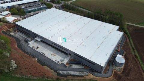 Sontra Halle, Sontra Hallenfläche