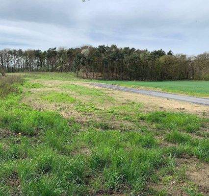 Grundstücke Baugebiet Nesberg 