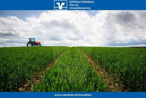 Hohenaltheim / Niederaltheim Bauernhöfe, Landwirtschaft, Hohenaltheim / Niederaltheim Forstwirtschaft