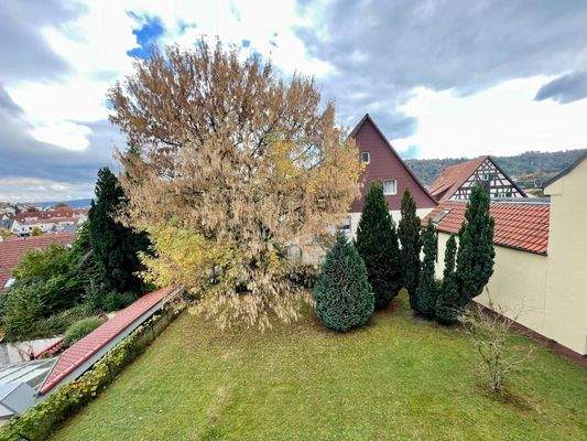 Aussicht_Balkon_OG_Haus_26-1